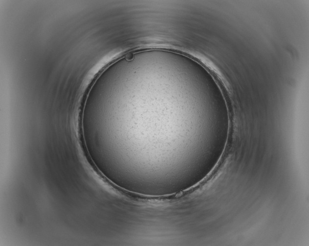 X0000113361333200909291022