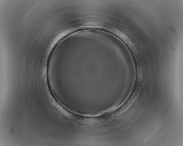 X0000113361334200909291022