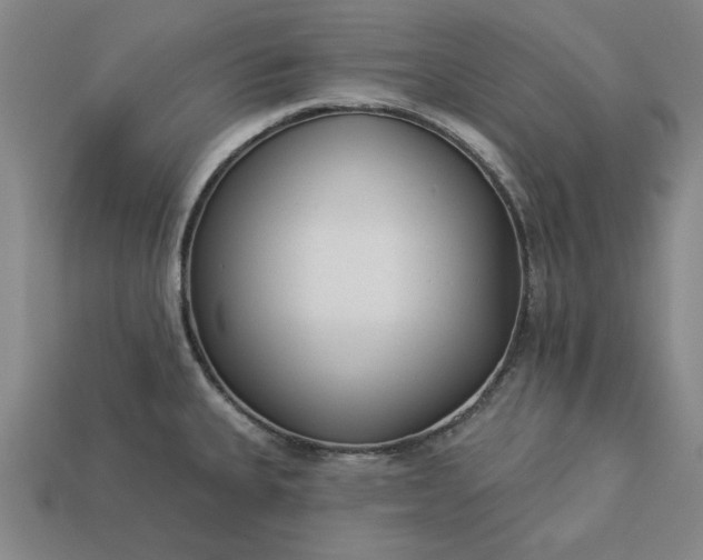 X0000113361335200909291022