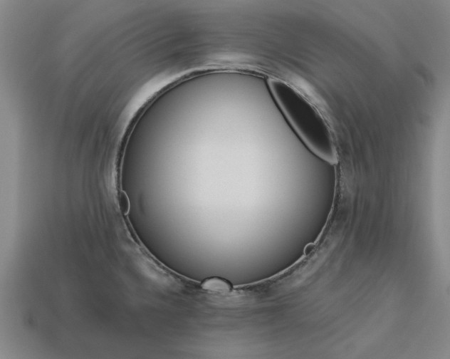 X0000113361336200909291022