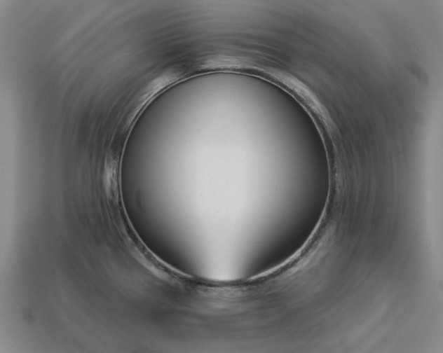 X0000113361337200909291022