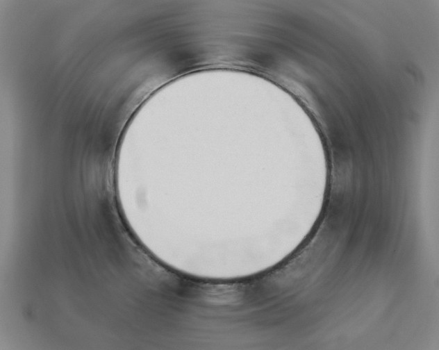 X0000113361338200909291022