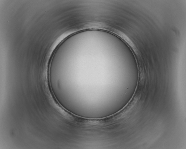 X0000113361339200909291022