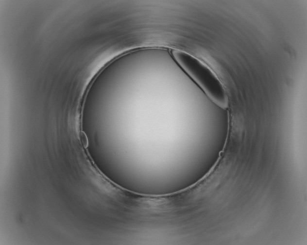 X0000113361340200909291022