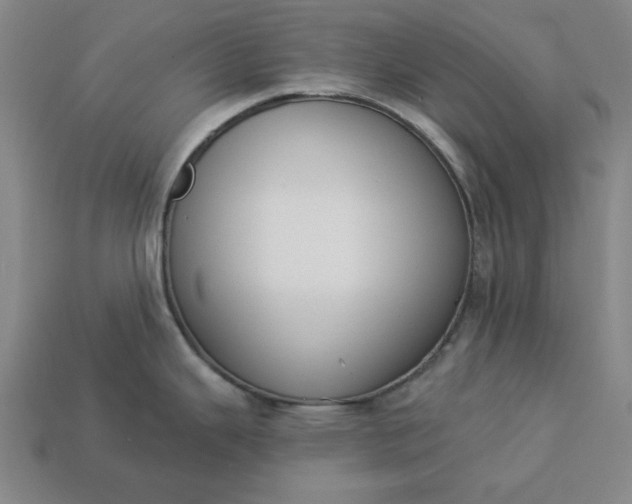 X0000113361343200909291022