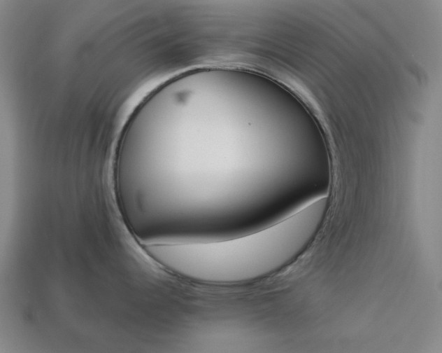 X0000113361344200909291022