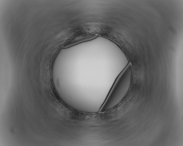 X0000113361345200909291022