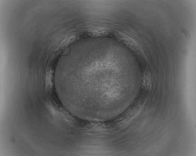 X0000113361346200909291022