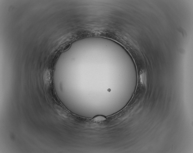 X0000113361347200909291022