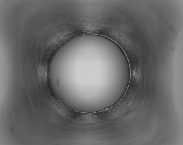 X0000113361348200909291022