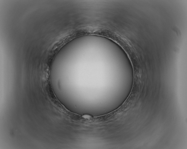 X0000113361349200909291022