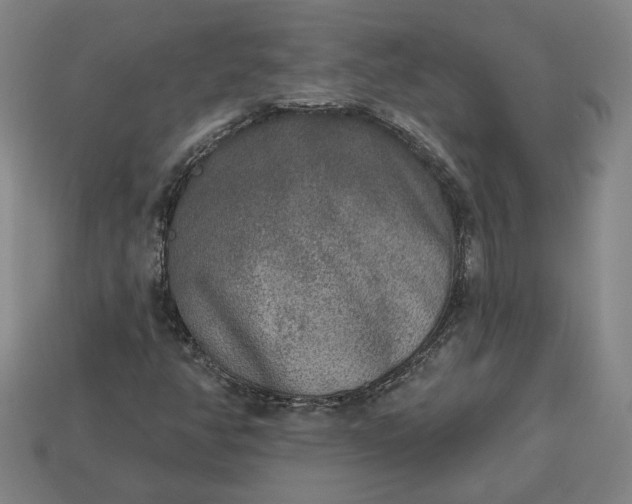 X0000113361350200909291021