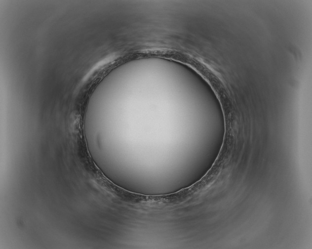 X0000113361351200909291021