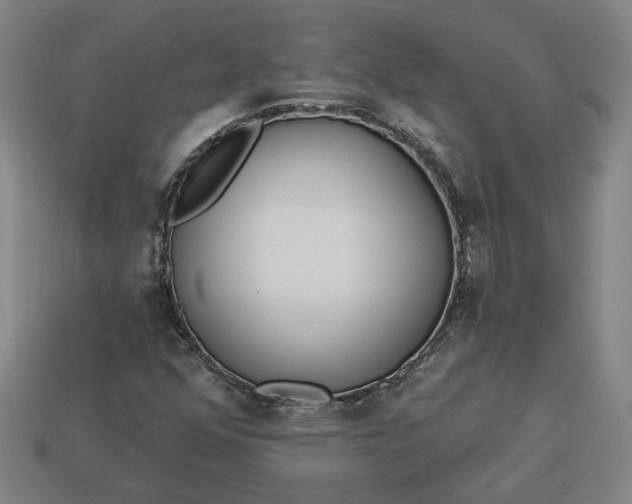 X0000113361352200909291021