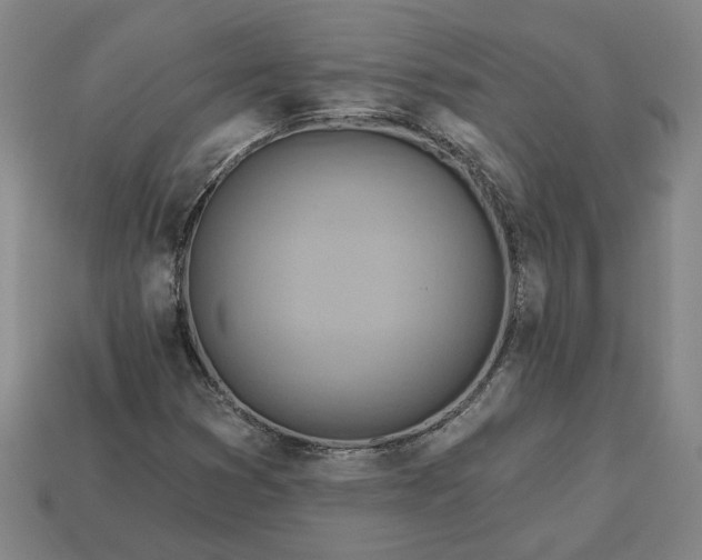 X0000113361353200909291021