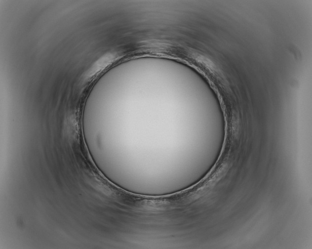 X0000113361354200909291021