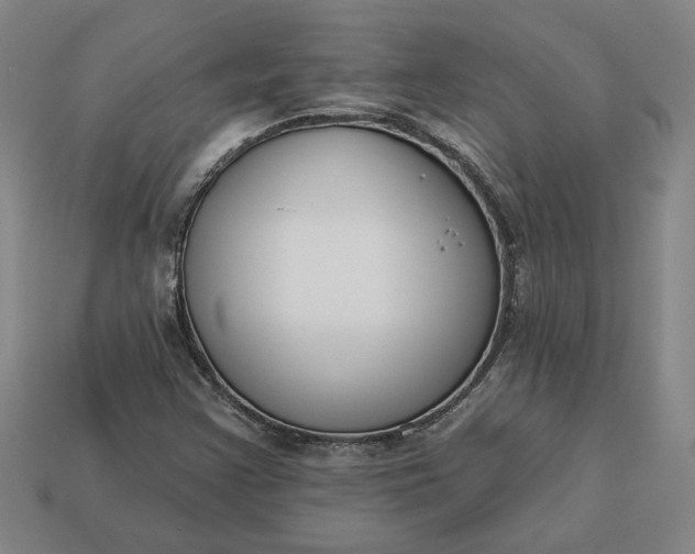 X0000113361355200909291021