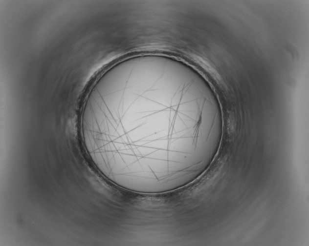 X0000113361356200909291021