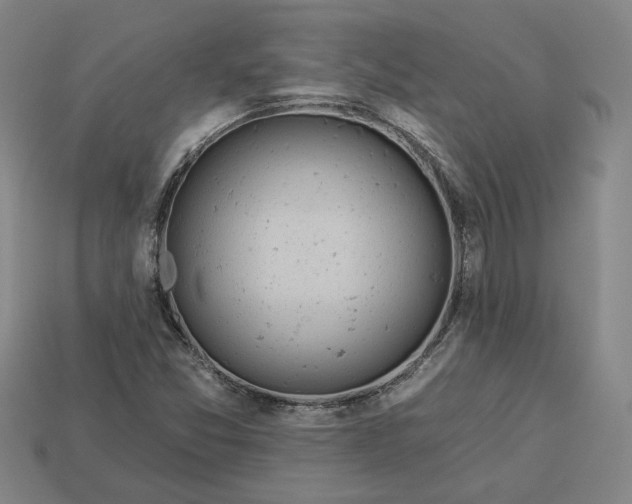 X0000113361357200909291021