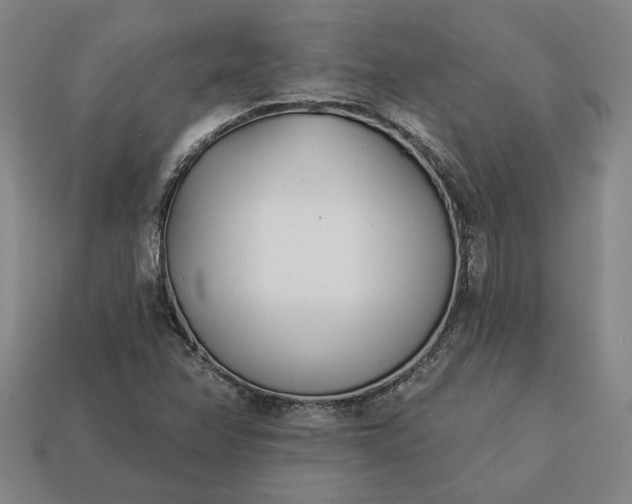 X0000113361358200909291021