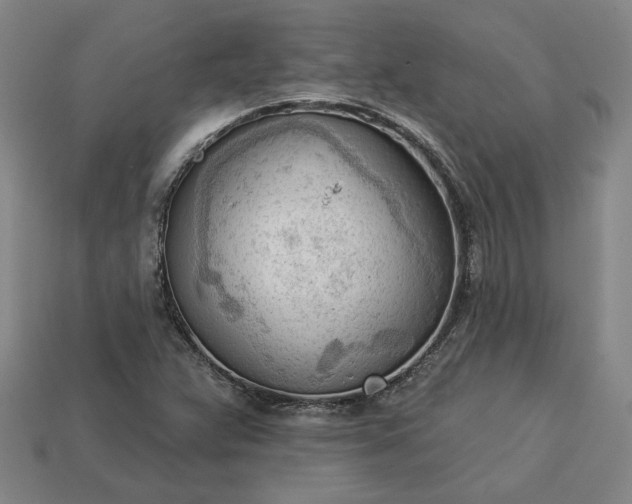 X0000113361359200909291021