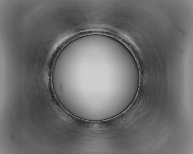 X0000113361360200909291021