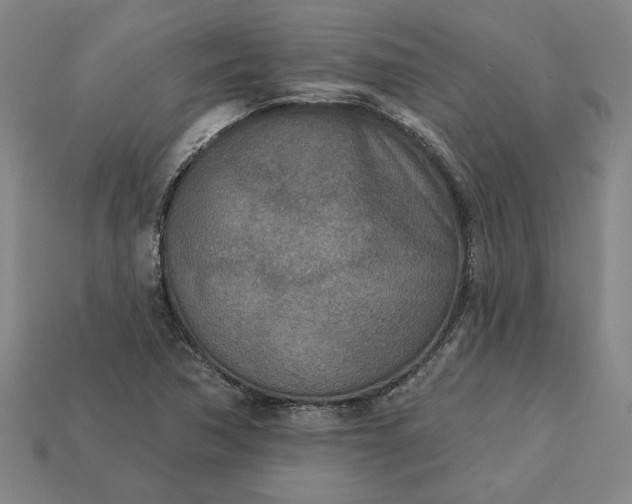 X0000113361362200909291021