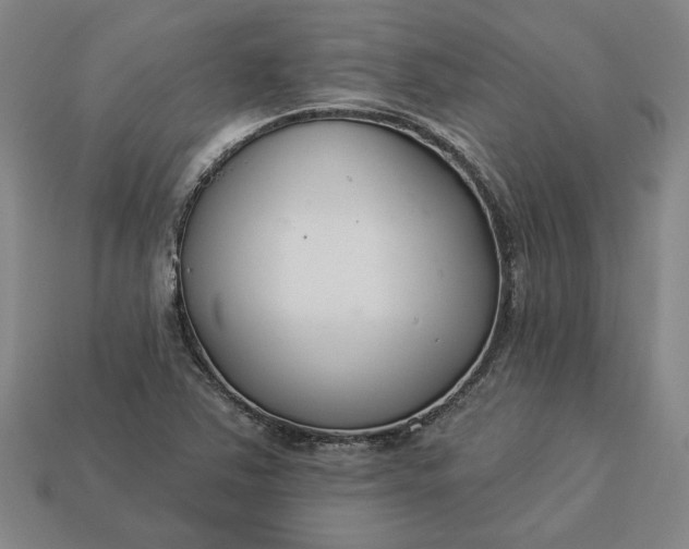 X0000113361363200909291021