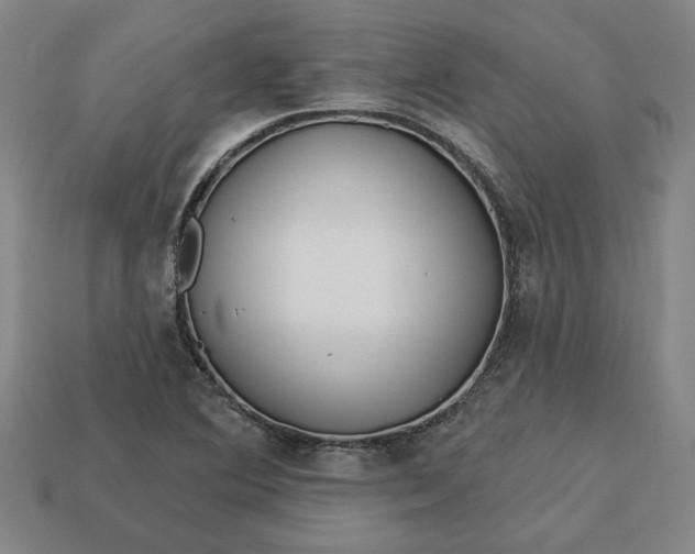 X0000113361364200909291021