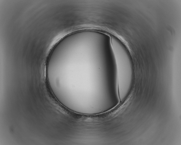 X0000113361365200909291021