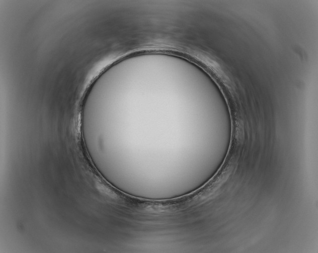 X0000113361366200909291021