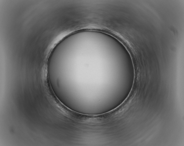 X0000113361367200909291021