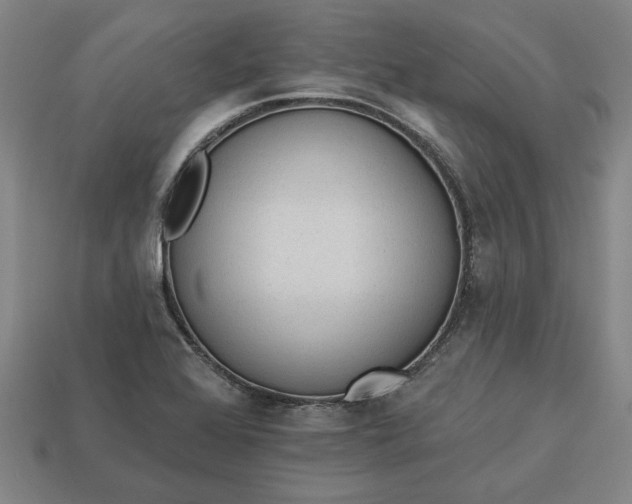 X0000113361368200909291021