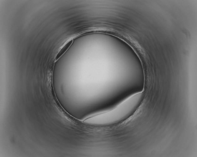 X0000113361369200909291021