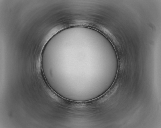 X0000113361370200909291021