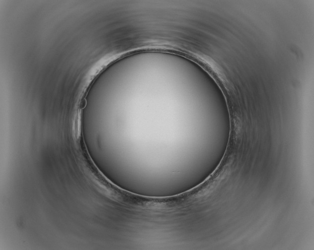 X0000113361371200909291021