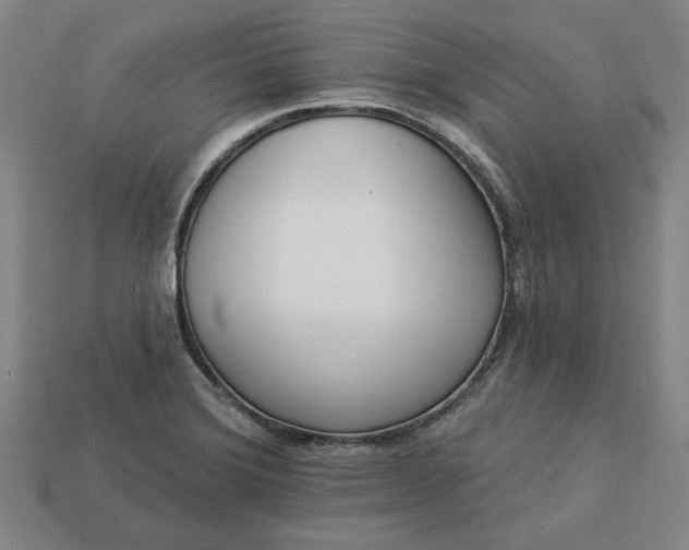 X0000113361372200909291021