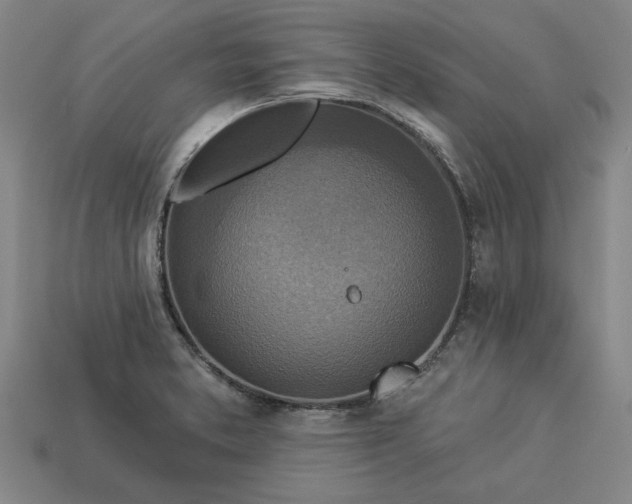 X0000113361373200909291021