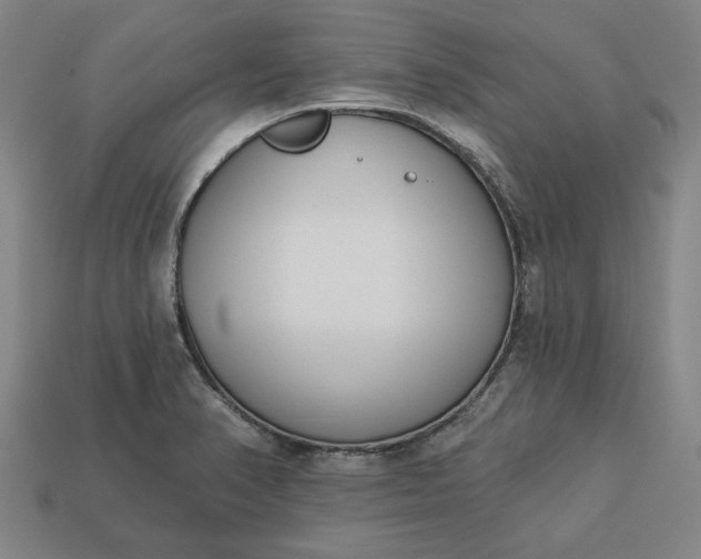 X0000113361374200909291021