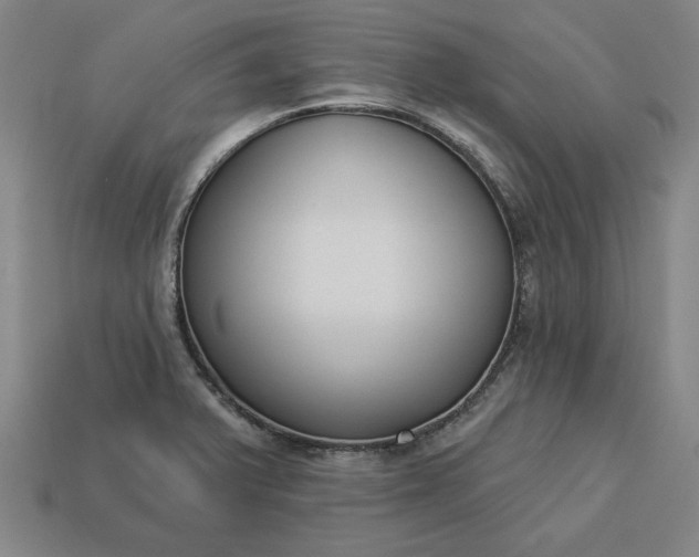 X0000113361375200909291021