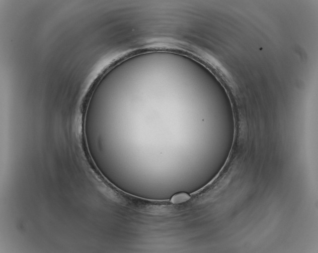 X0000113361376200909291021