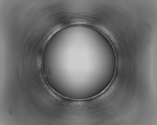 X0000113361377200909291021