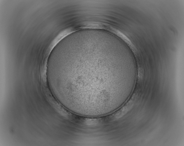 X0000113361378200909291021