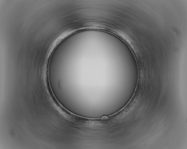 X0000113361379200909291021