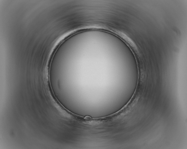 X0000113361380200909291021