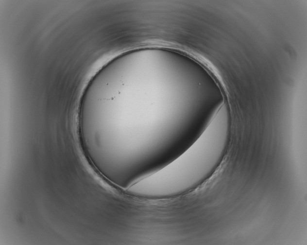 X0000113361381200909291021