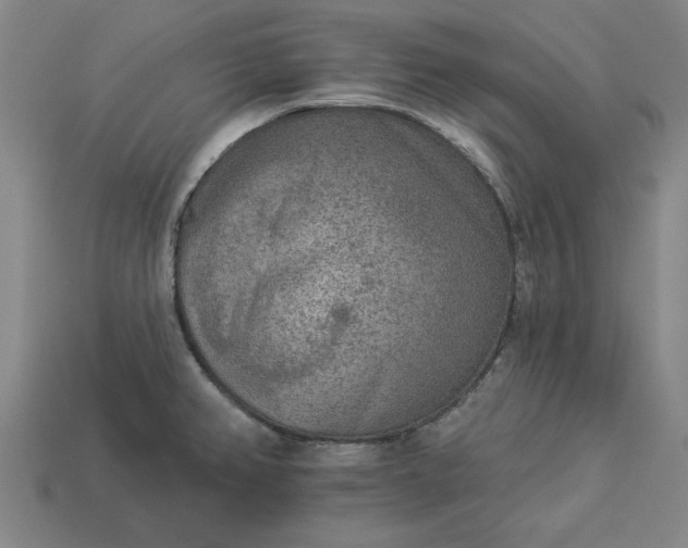 X0000113361382200909291021