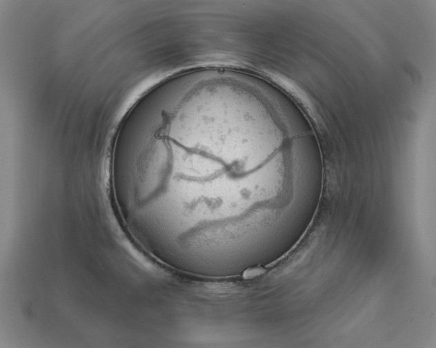 X0000113361383200909291021