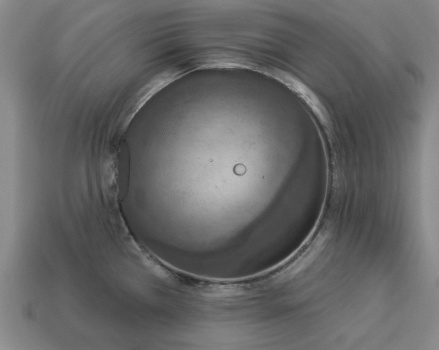 X0000113361385200909291021