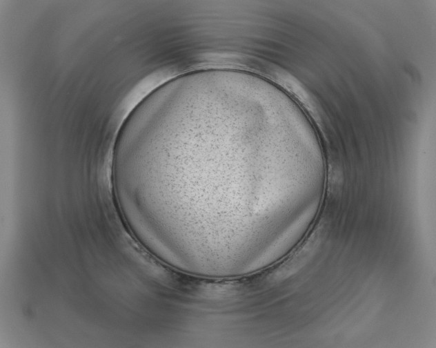 X0000113361386200909291021